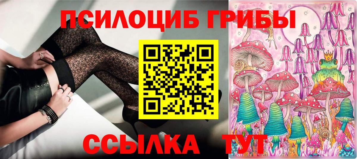 Псилоцибиновые грибы прущие грибы  Вход с VPN  Сергиев Посад 