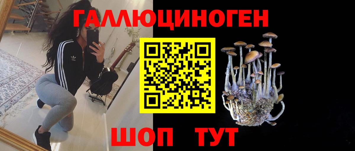 Псилоцибиновые грибы прущие грибы Сергиев Посад