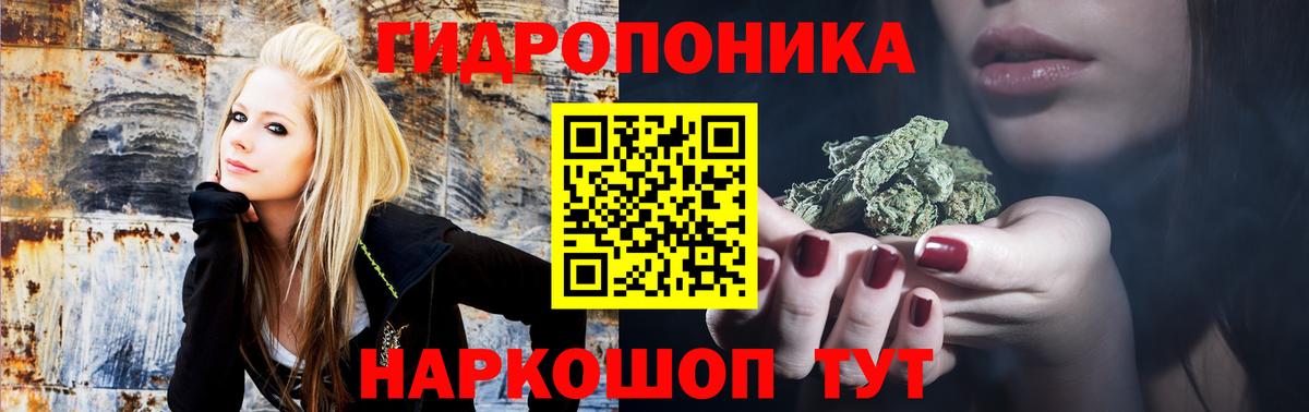 Каннабис White Widow  Бошки марихуана семена  Сергиев Посад  Вход с VPN 